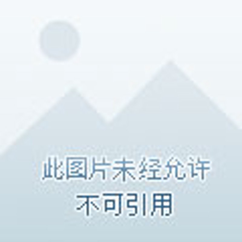 阳泉信息技术公司的实力如何？